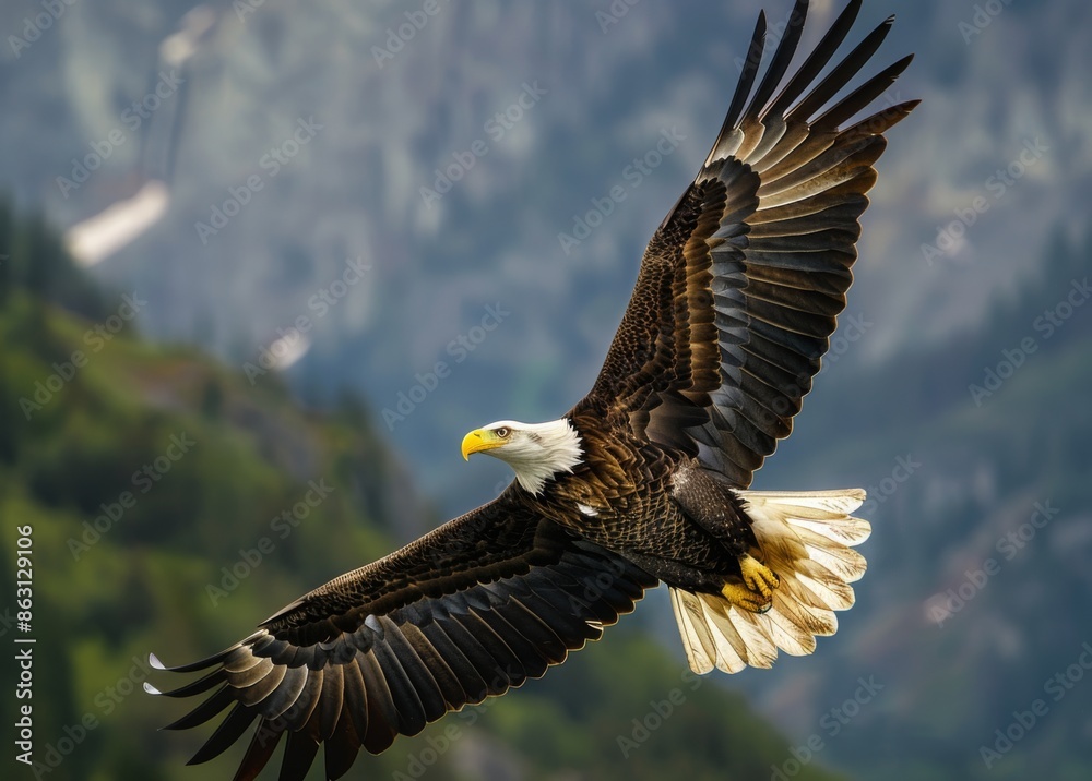 Fototapeta premium Majestic Bald Eagle Soaring Over Mountain Landscape
