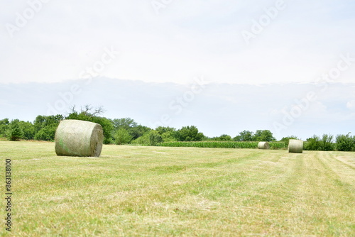 Fototapeta Naklejka Na Ścianę i Meble -  Hay Field