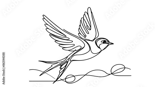 single line illustration of a Swallow