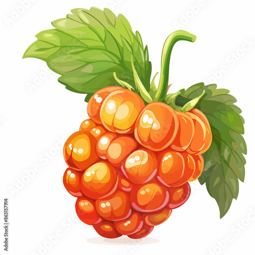 Cloudberry