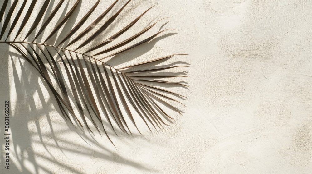 Obraz premium Palm leaf is cast on a clean surface, creating an elegant overlay