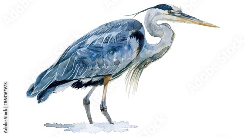 Blue heron watercolor painting