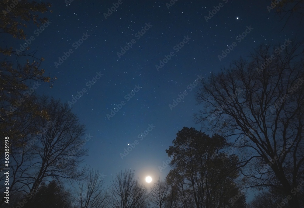 The Enchanting and Captivating Atmosphere of the Mysterious Night Sky The Enchanting and Captivating Atmosphere of the Mysterious Night Sky