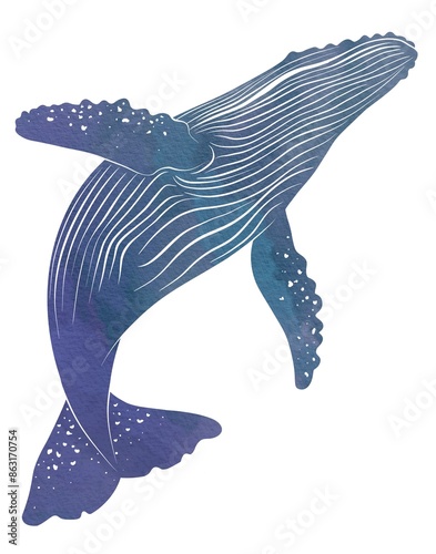 Whale, watercolor painting