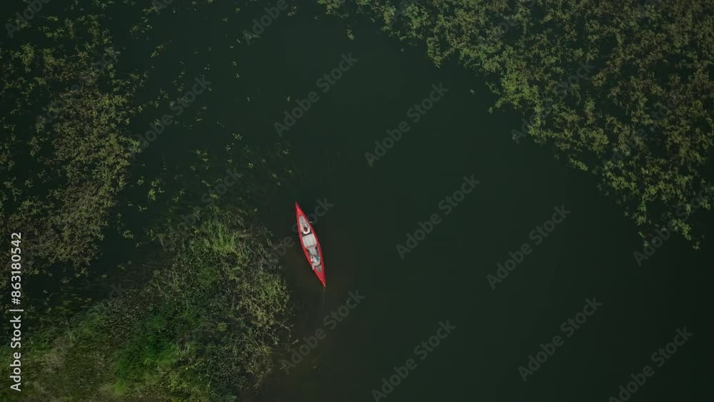 Two people canoeing on a lake with a green water garden of lily fields, aerial top down shot. Nature and recreation concepts. Two people canoeing on a lake with a green water garden of lily fields, aerial top down shot. Nature and recreation concepts.