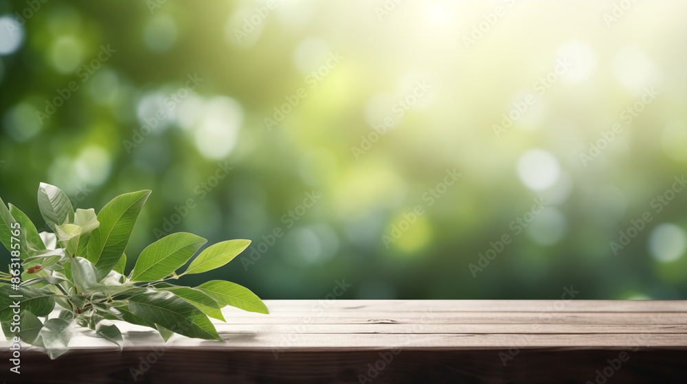 Background, wooden planks in foreground, background blurred, green natural landscape Background, wooden planks in foreground, background blurred, green natural landscape
