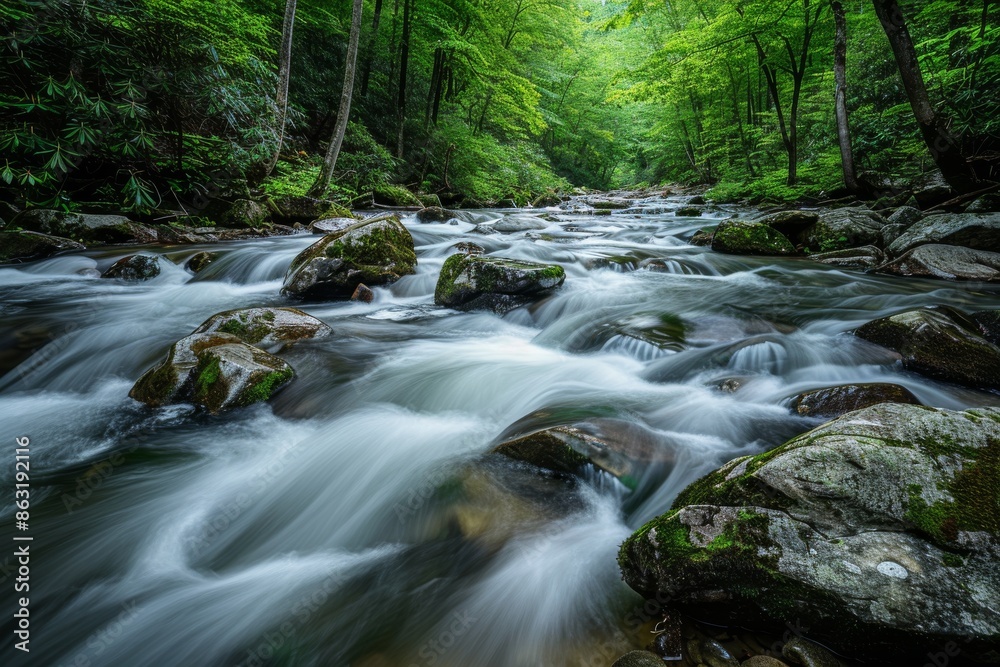 Obraz premium A cool mountain stream cascades down North Carolina's lush Blue Ridge Mountains.