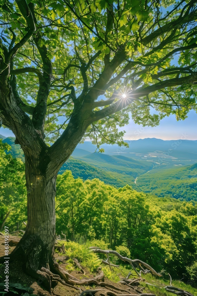 As the sun sets over the blue Ridge mountains, the lush landscape of the Blue Ridge Parkway is visible As the sun sets over the blue Ridge mountains, the lush landscape of the Blue Ridge Parkway is visible