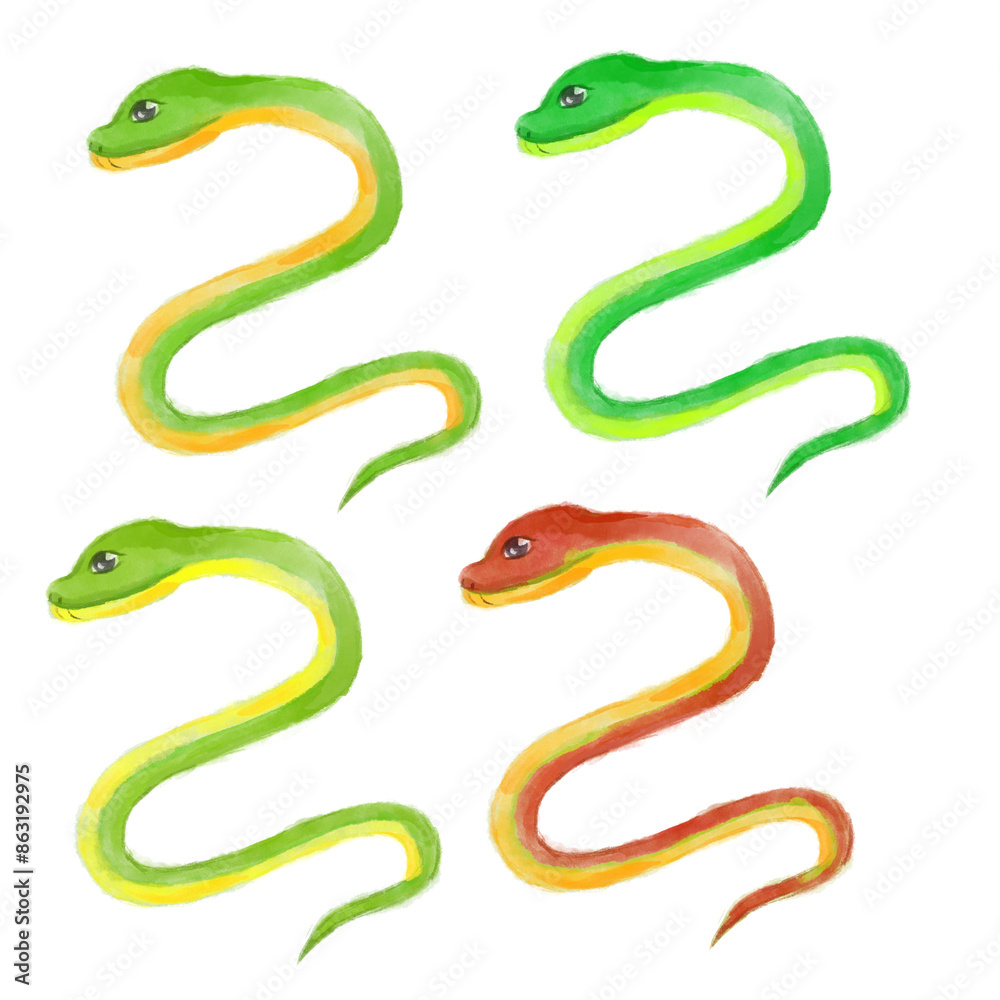 Fototapeta premium Set of hand drawn watercolor painted cartoon cute green, yellow and red snakes, snake illustration isolated for new year asian design