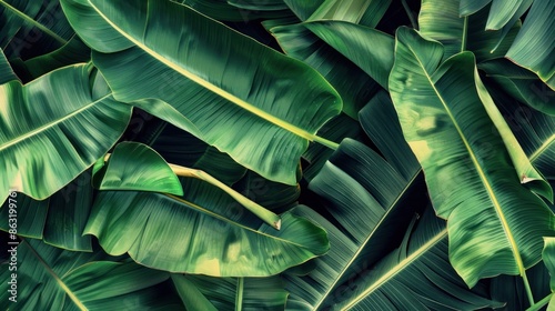 Tropical Green Leaf Pattern