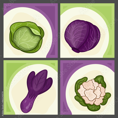 Square templates for social media posts banners. Bok choy, cauliflower, green cabbage, red cabbage. Green, purple Liquid stains with transparency. Post design template for harvest, vegetables, beauty.