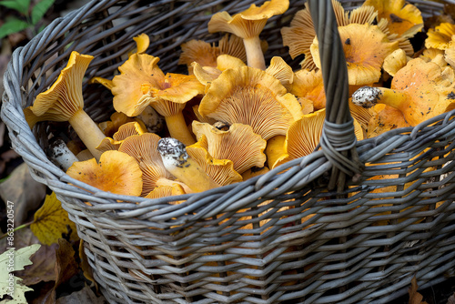 Basket overflowing with gol...