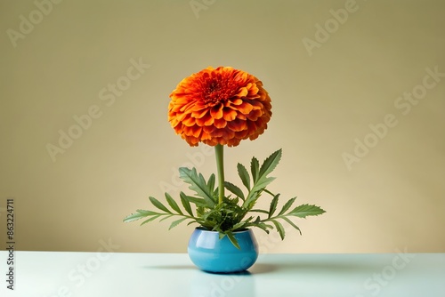 Wallpaper Mural Bright Marigold Flowers Torontodigital.ca