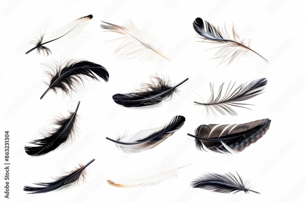 The image showcases a set of isolated black and white feather icons arranged against a white background, featuring various styles and shapes. The image showcases a set of isolated black and white feather icons arranged against a white background, featuring various styles and shapes.