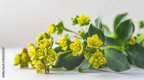 Poi Sean, lovely floral arrangement with frame © MUNUGet Ewa