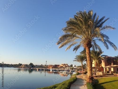 Wallpaper Mural Palm tree on the beach of El Gouna in Egypt Torontodigital.ca