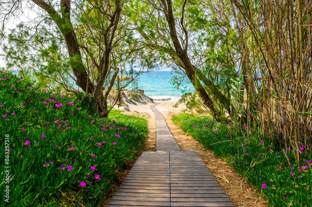 Tam Tam Beach - beautiful coast scenery with paradise beach on island Kos - travel destination in Greece, Europe Tam Tam Beach - beautiful coast scenery with paradise beach on island Kos - travel destination in Greece, Europe