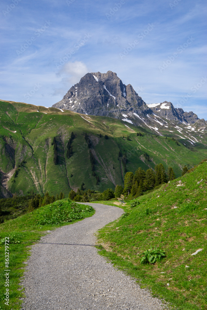 Panorama with a park bench on a hiking trail with a view of the surrounding mountains in the Arlberg area, snow-covered cloudy mountain peaks and green, flower-filled meadows in spring, recreation Panorama with a park bench on a hiking trail with a view of the surrounding mountains in the Arlberg area, snow-covered cloudy mountain peaks and green, flower-filled meadows in spring, recreation