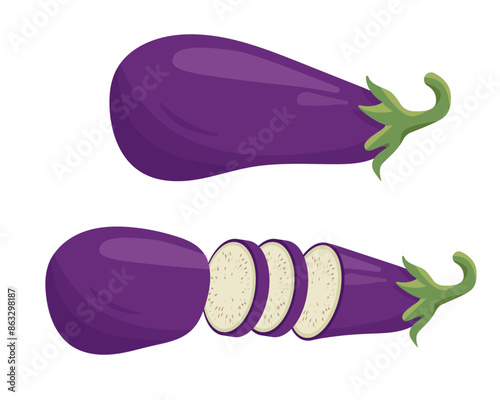 Fresh whole Eggplant and cut eggplant with slices. Farm vegetable plant icon. Organic garden vegetarian food. Vector illustration isolated on white background.