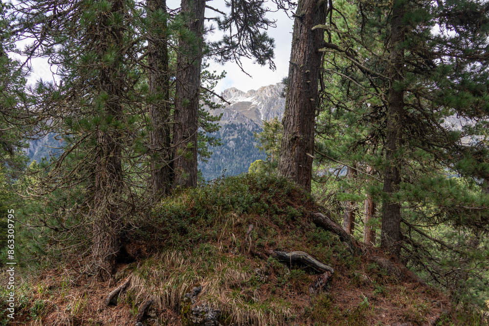 Landscape in Villnoess Valley in South Tyrol Landscape in Villnoess Valley in South Tyrol