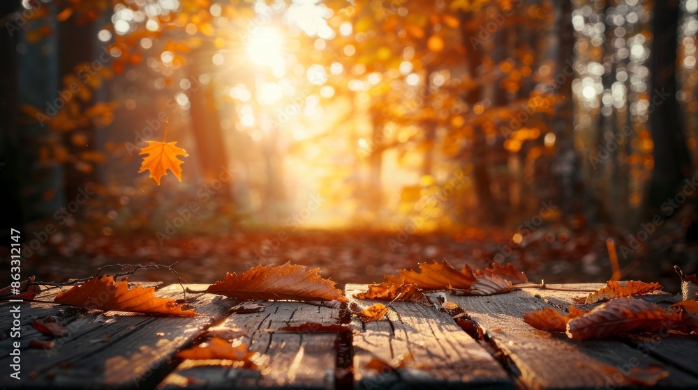 table to place objects with a beautiful sunrise in a wooded area in autumn in the background table to place objects with a beautiful sunrise in a wooded area in autumn in the background