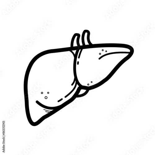 human liver - vector icon
