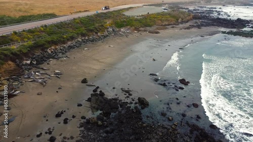 view of the ocean with sea lions across the bay