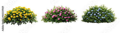 Conjunto de arbustos de flores rosa, amarelo e azul isolado em fundo transparente 