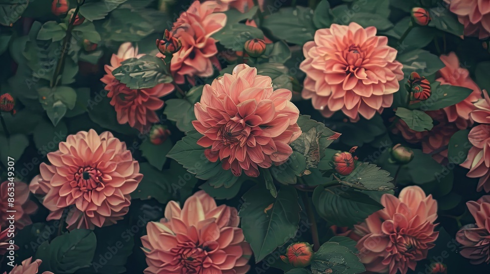 floral wallpaper background floral wallpaper background