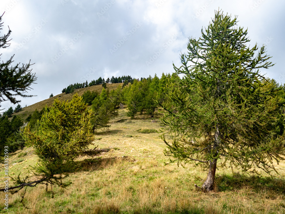 view on the mountains in the Southern French Alp on a sunny late summer day view on the mountains in the Southern French Alp on a sunny late summer day
