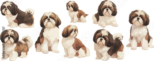 shih tzu watercolor clipart	
