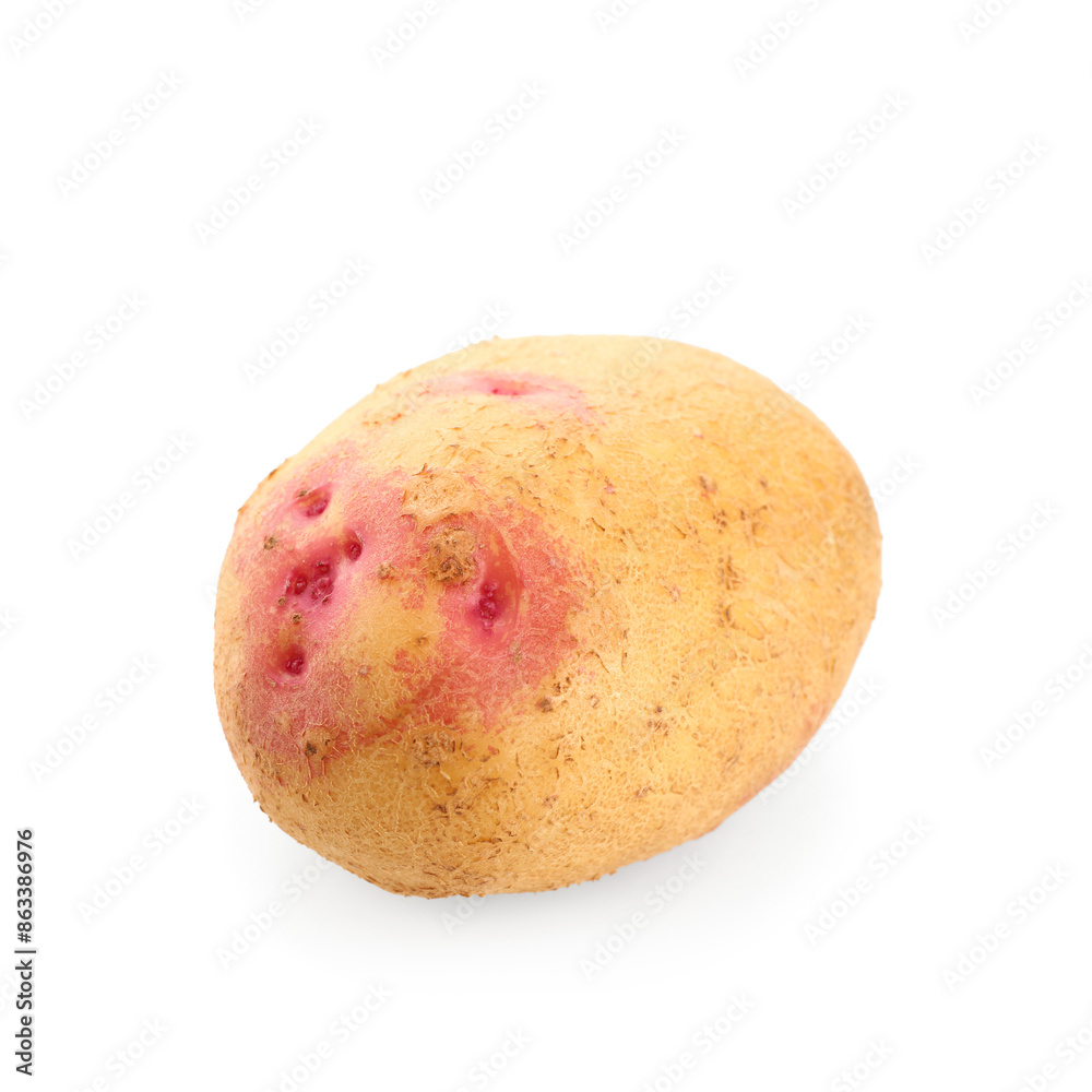 Fresh raw potato on white background Fresh raw potato on white background