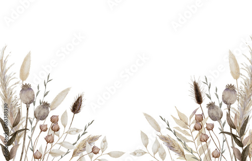 Aesthetic Dried Flower Background Border with Pampas, bunny tails and poppy pods isolated on white background