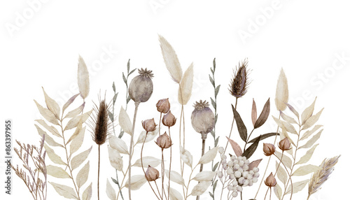 Watercolor Dry Floral Background with poppy pods, bunny tail grass, and dried leaves, Dried flowers background