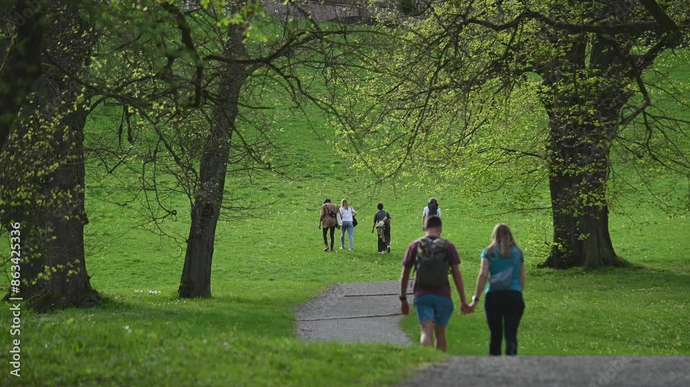 walking in the park walking in the park
