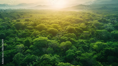 A lush green field with trees in the background