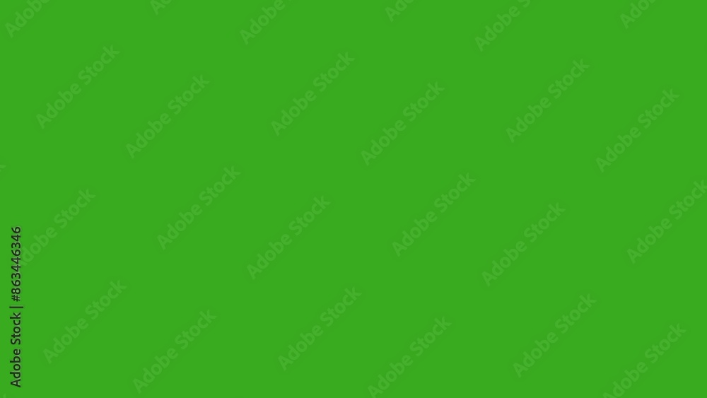 grapic design element animation for web grapic design element animation for web
