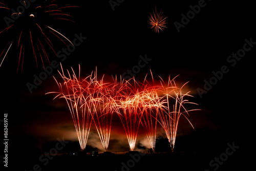 Fireworks in the night sky