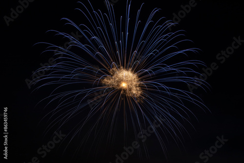 Fireworks in the night sky