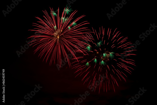 Fireworks in the night sky