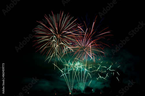 Fireworks in the night sky
