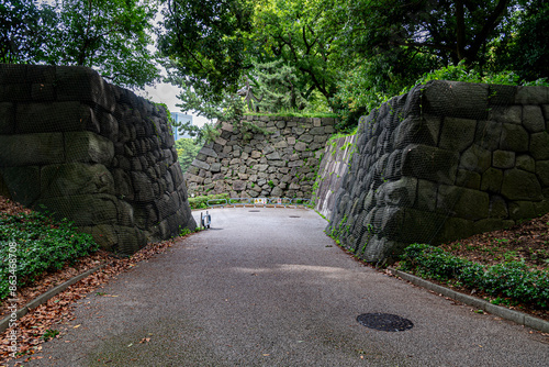 将軍徳川家康江戸城本丸趾