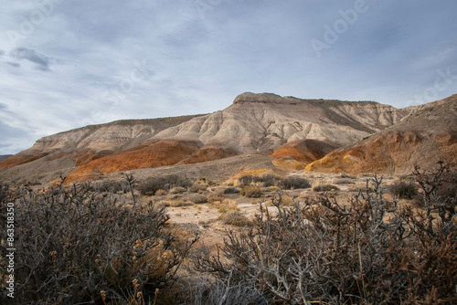 Patagonian stepe 2 photo