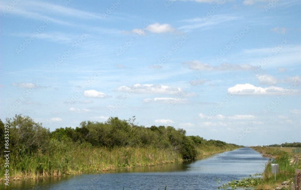 Una perfecta combinacion del agua con un verdor impresionante eso son los Everglades. Una perfecta combinacion del agua con un verdor impresionante eso son los Everglades.