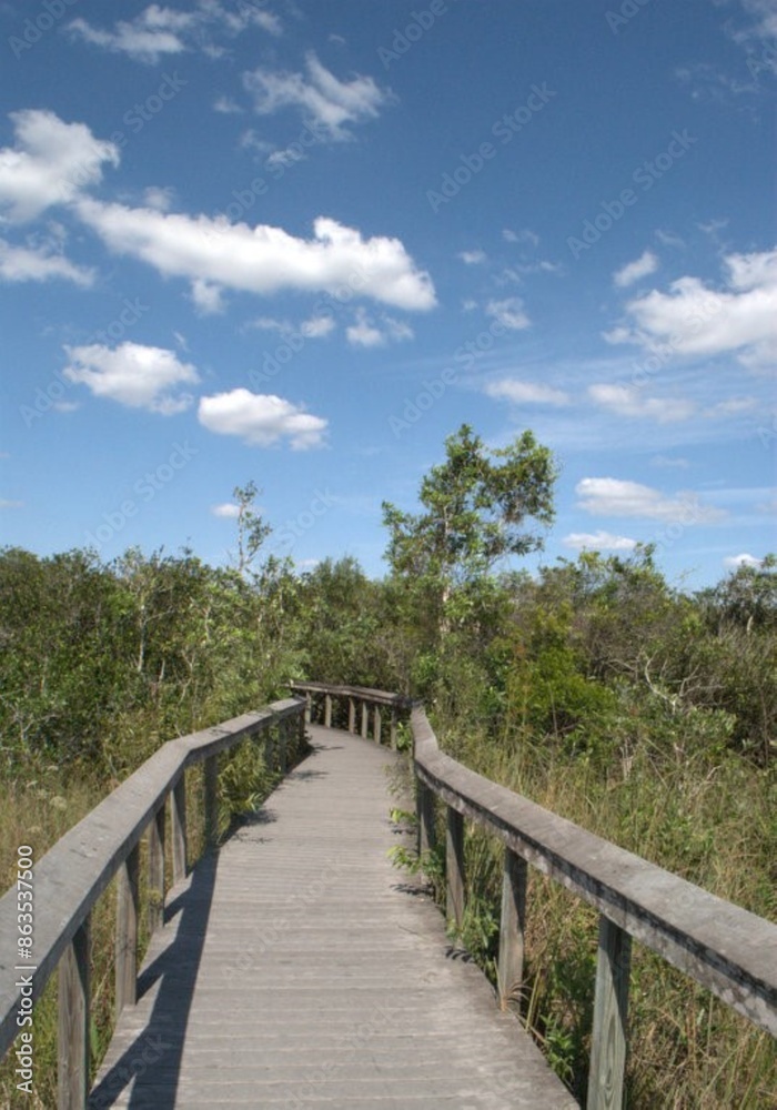 Una perfecta combinacion del agua con un verdor impresionante eso son los Everglades. Una perfecta combinacion del agua con un verdor impresionante eso son los Everglades.