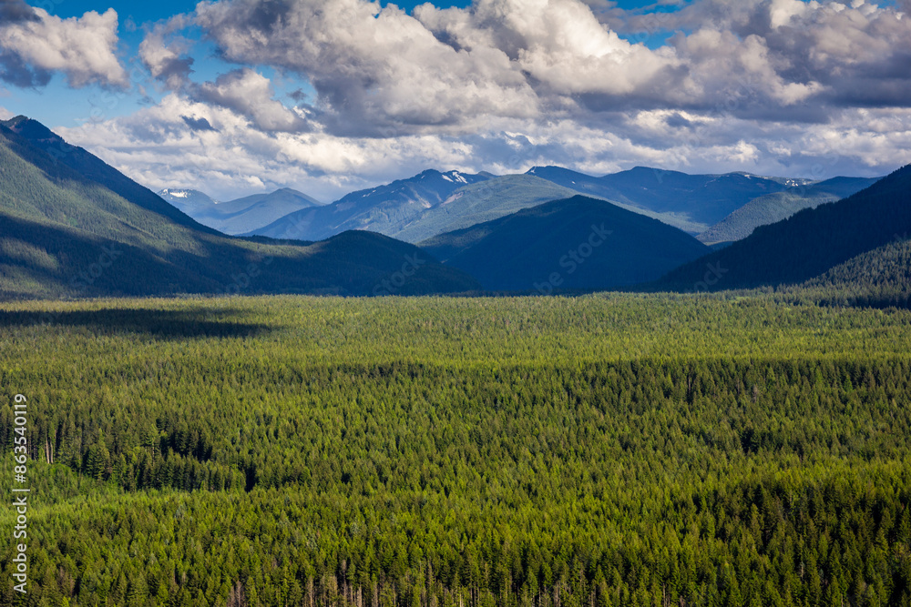 Mountain Landscape in Washington State Mountain Landscape in Washington State