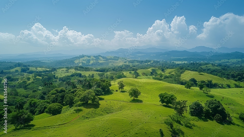 Rural View with Forest Restoration Activities 