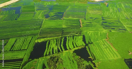 Aerial View of Green Development City, Southeast Asia City Development Phnom Penh Cambodia
