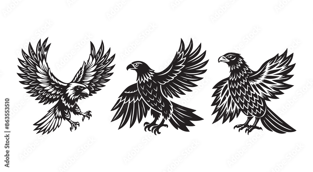 Obraz premium Vintage Eagle Bird Silhouette