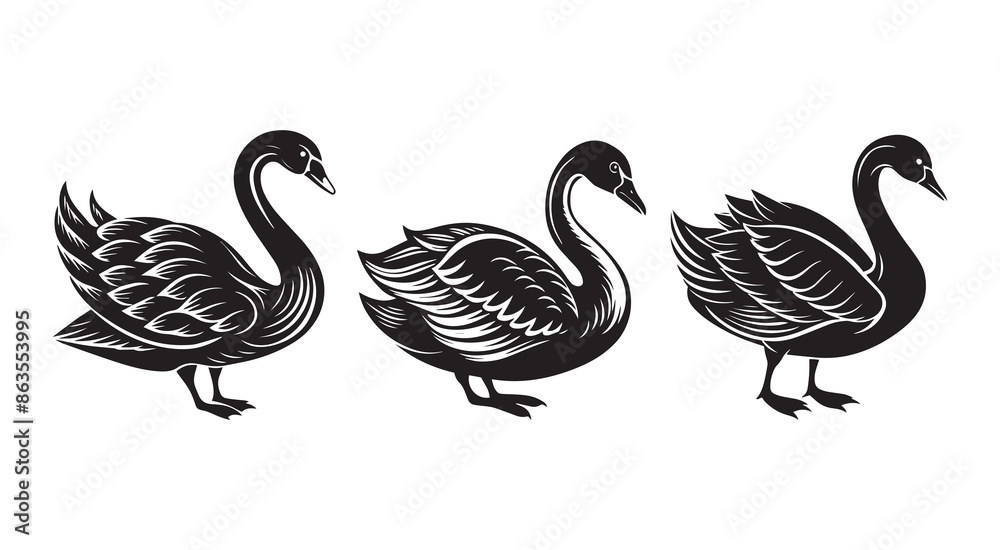 Fototapeta premium Vintage Swan Bird Silhouette